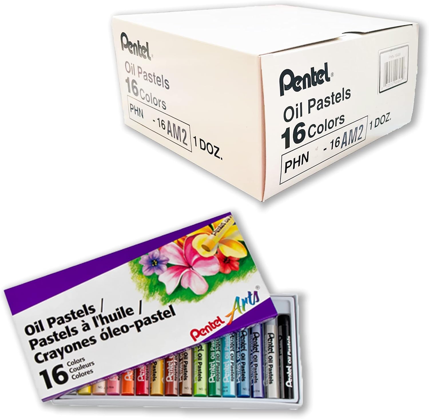 Pentel Arts Oil Pastels, Set of 16 Colors, 1 Dozen (12 Packs), Bulk Pack (PHN-16AM) - Image 8